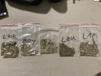 Top Selbstgezüchtete Regular Samen