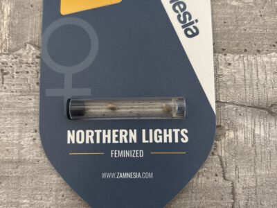 2 feminisierte Nothern Lights Samen