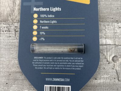 2 feminisierte Nothern Lights Samen