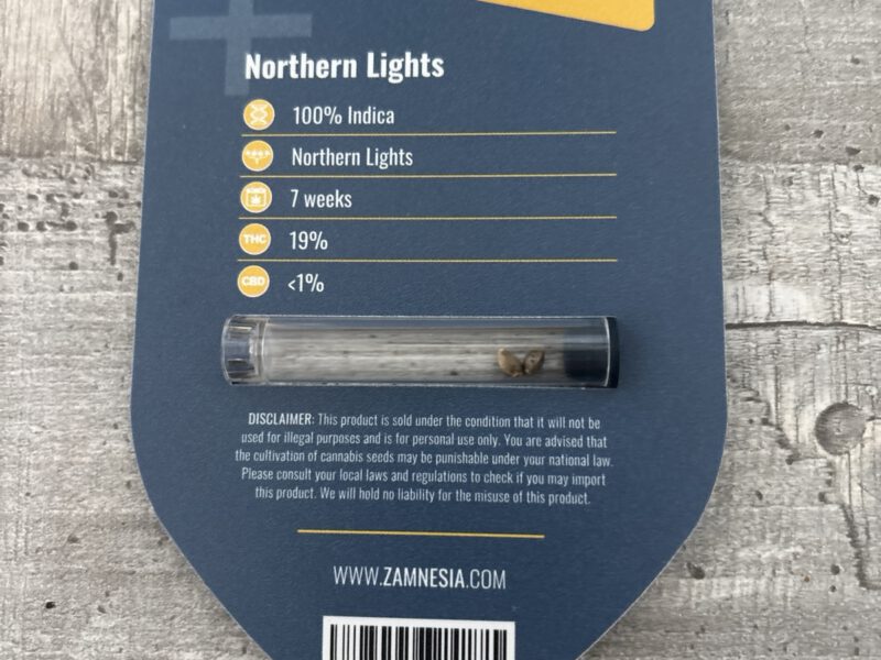2 feminisierte Nothern Lights Samen